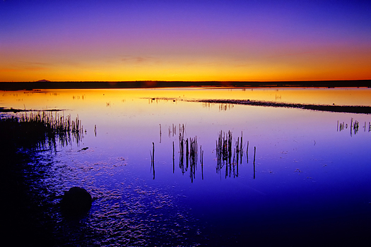 Abstract sunset lake marsh near Roswell New Mexico USA North America