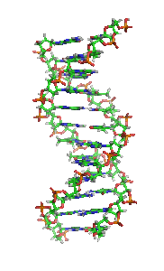 animated DNA